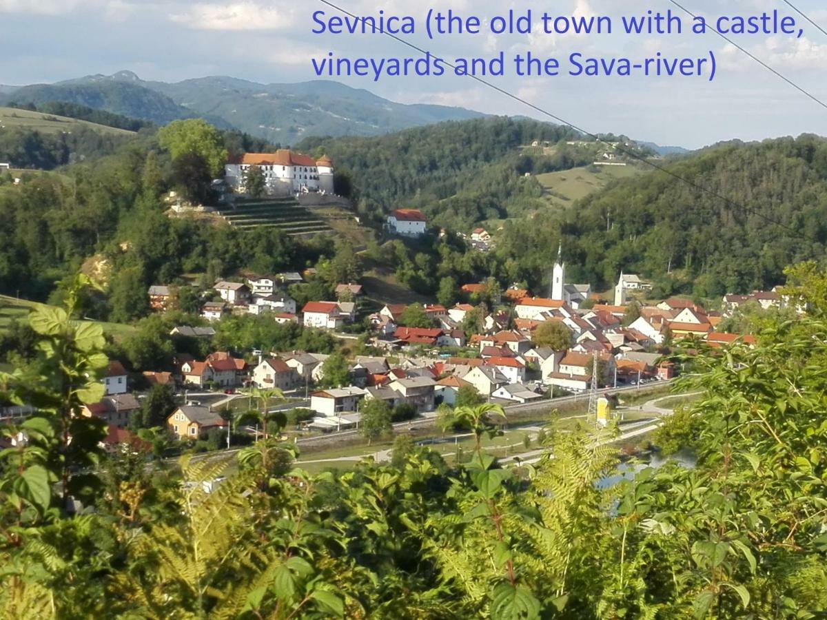 Getaway "At The Three Lights" Villa Sevnica Екстериор снимка